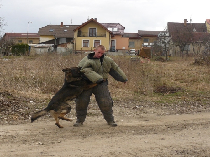 Max Černý obelisk v akci