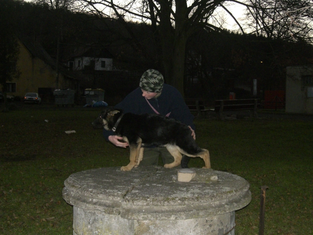 Bonuš3